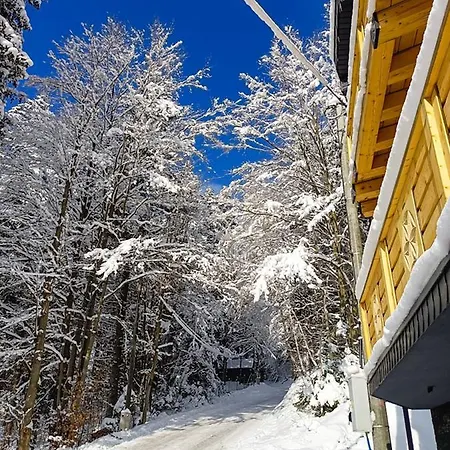 Apartmán - Krol Gor -