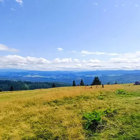 - Król Gór - * Wisła