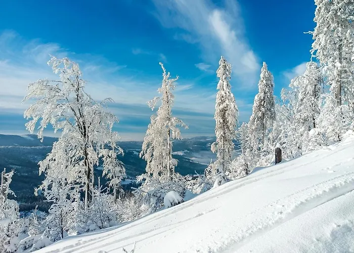 - Krol Gor - Apartmán Visla