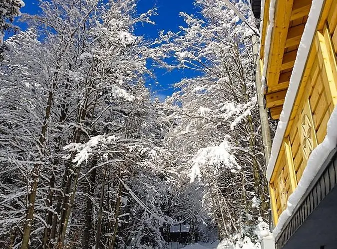 Apartmán - Krol Gor -