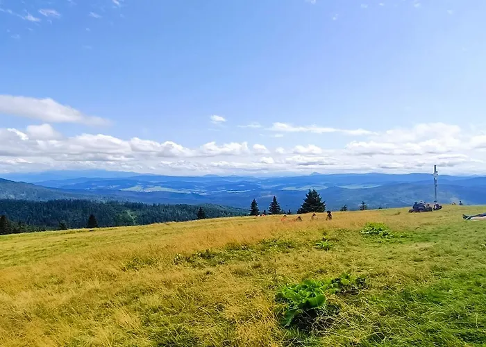 - Krol Gor - * Wisla